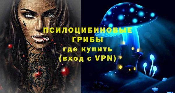 ПСИЛОЦИБИНОВЫЕ ГРИБЫ Алексин