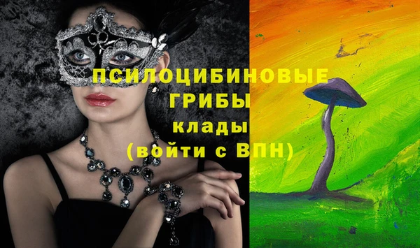 ПСИЛОЦИБИНОВЫЕ ГРИБЫ Алексин