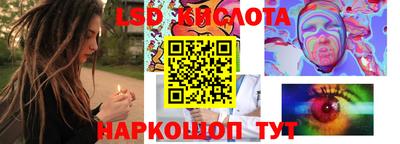прущие грибы Краснознаменск