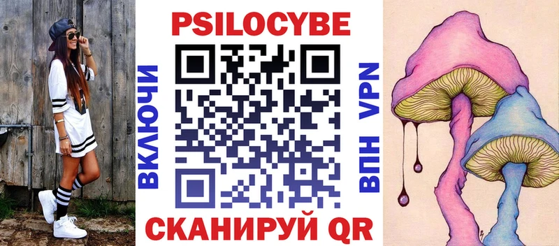 что такое   Старая Русса  Псилоцибиновые грибы мицелий 