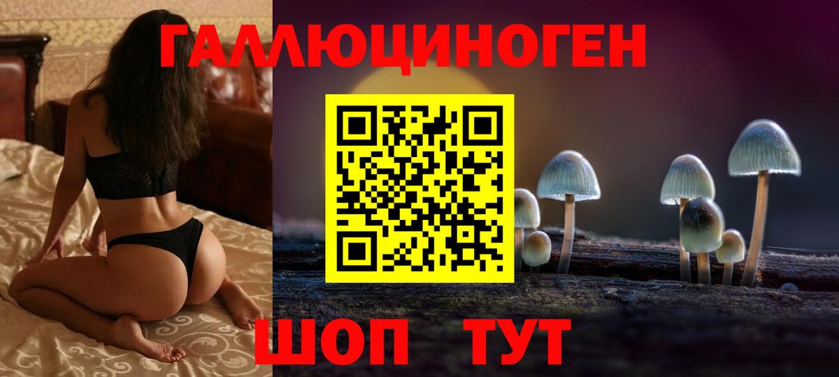 Галлюциногенные грибы GOLDEN TEACHER  Вход с VPN  Старая Русса  купить   Галлюциногенные грибы Psilocybine cubensis 